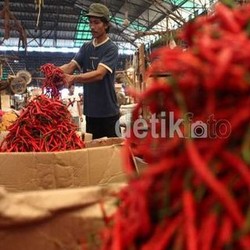 Harga Cabai Tembus Rp 100.000/Kg, Ini Tanggapan Pejabat Kemendag