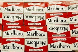 Pabrik Marlboro di Australia Tutup, 180 Orang Menganggur