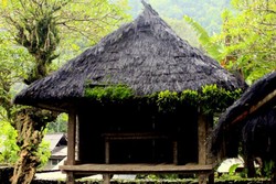 Satu Lagi Desa Adat di Bali yang Cantik