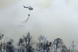 BNPB: Penanganan Kabut Asap Habiskan Dana Rp 164 M