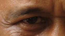 Mantan Petinju: Wakil Rakyat Doyan Berantem, Ayo Naik Ring!