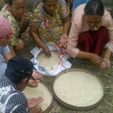 Beras Raskin yang Dibagikan Warga Berulat dan Berkutu