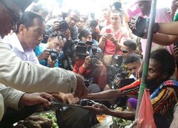 Kunjungi Pasar di Papua, Jokowi Belanja Ikan Cakalang Asap