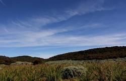 Tegal Alun, Surganya Fotografer Alam Bebas