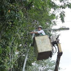 Baru Dilantik, Wali Kota Bogor Turun Langsung Bersihkan Sampah