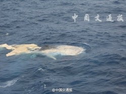 Sempat Diduga Puing MH370, Ternyata Bangkai Paus Hingga Alat Pancing