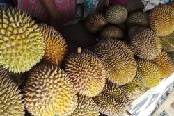Pesta Durian di Pantai Talise, Palu