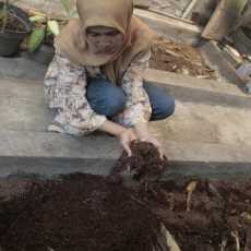 Geliat Budidaya Cacing Tanah di Kota Malang