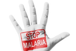 Cara Agar Bebas Malaria Setelah Pergi ke Wilayah Endemis