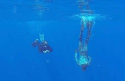 Melihat dari Dekat Misi Penyelaman MH370 di Samudera Hindia