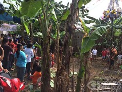 Pencoblosan di Bambu Apus Dimeriahkan Panjat Pinang dan Organ Tunggal