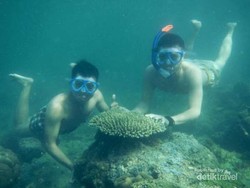 Akhir Pekan Ini, Yuk Jalan-jalan ke Pulau Pari!