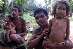 Hasil Pencoblosan Sudah Dihitung, Ini Dia Capres Pilihan Orang Rimba