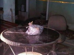 Polisi Pastikan Paket yang Diterima Tarso Gusdurian Bukan Bom