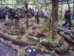 Kenapa Kantong Semar Makan Serangga? Ini Jawaban Peneliti