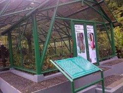 Menengok Taman Konservasi Kantong Semar di Kebon Raya Cibodas