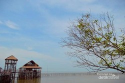 Weekend Segar di Surabaya, Ayo ke Hutan Mangrove Wonorejo