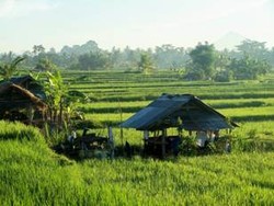 Hebat! Ubud & Seminyak Masuk 20 Destinasi Top Asia