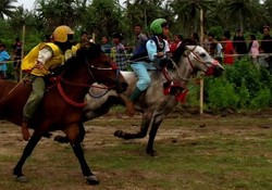 Si Cilik Pemberani, Joki Pacu Kuda Tradisional Lombok