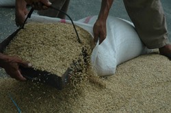 Benarkah Hanya Orang Miskin yang Terima Raskin Tiap Bulan?