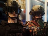 Defence Services Asia 2014