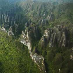 Ini Harta Karun Sesungguhnya dari Perbukitan Kapur Perawan Kaltim