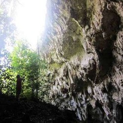 Menjaga Harta Karun di Perbukitan Kapur Perawan Kaltim