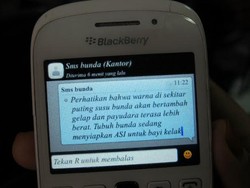 Dengan SMS Gratis Ini, Ibu Hamil Tidak Perlu Khawatirkan Kandungannya