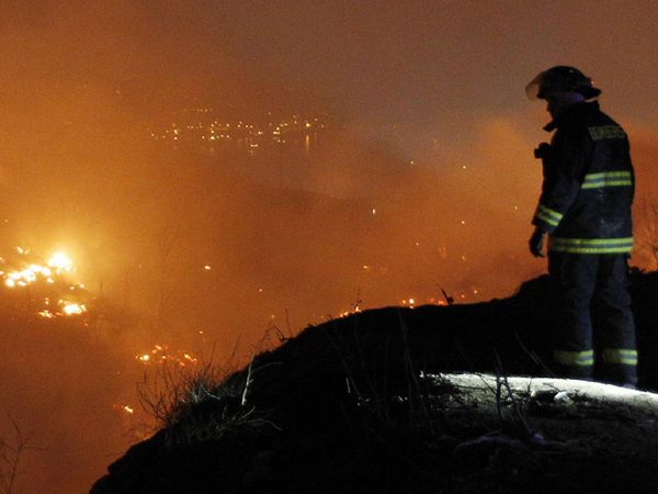 13 Orang Tewas Dalam Kebakaran Hutan di Chili