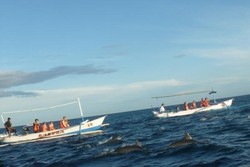 Mengejar Lumba-lumba di Pantai Lovina