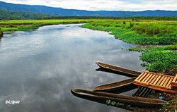 Sepetak Surga di Jambi Bernama Rawa Bento