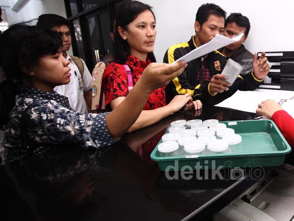 Ratusan CPNS Tes Urine di BNN