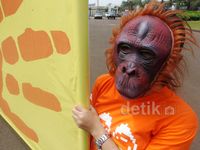 Orangutan dan Hanoman Demo di Istana