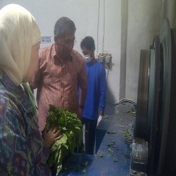 Pabrik Teh Rakyat Pertama di Indonesia Rp 3,5 Miliar Dibangun di Garut