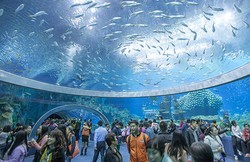 Akuarium Terbesar Sedunia Ada di China