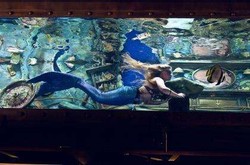 Akuarium di Bar Ini Isinya Putri Duyung Cantik!