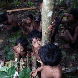 57 Film Dokumenter Terbaik Siap Ramaikan ChopShots Documentary Film Festival 2014