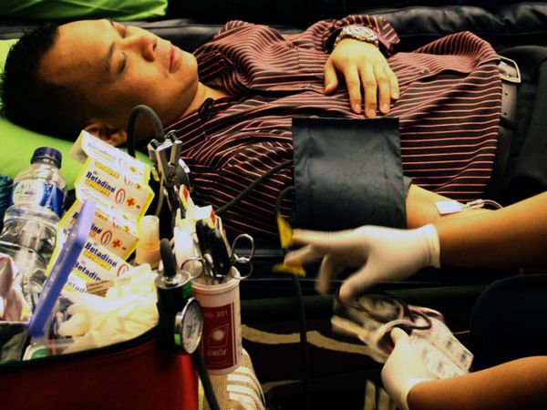 Donor Darah PMI