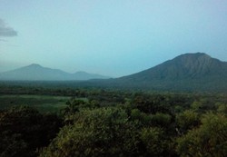 Long Weekend, Bertualang Ala Afrika di Baluran