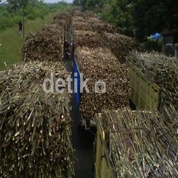 Kapasitas Produksi Industri Gula RI Hanya 20% dari Thailand