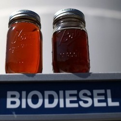 Brasil dan Thailand Sukses Kembangkan Bahan Bakar dari Singkong, RI Bagaimana?