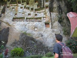 Kesempatan Langka, Menyaksikan Pemakaman Toraja
