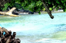 Pesona Pantai Tanjung Setia di Lampung