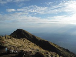 Melepas Jenuh di Gunung Merbabu