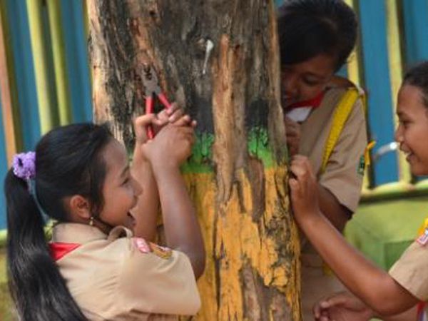 Mencabuti Paku di Pohon Sambut Hari Bumi