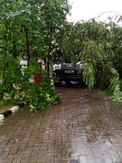 Hujan Deras, Fortuner di Gedung BPK Tertimpa Dahan