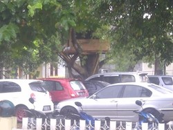 Jegeeer! Dua Bocah Tersambar Petir di Jagakarsa