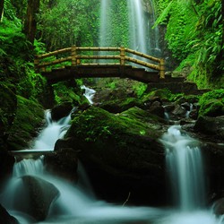 Surga yang Hilang Juara FotoStop Maret