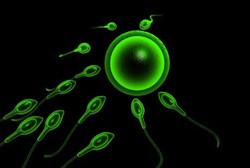 Hipospermia, Ketika Volume Cairan Sperma Kurang dari 1 Sendok Teh