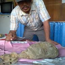 Cari Rumput, Buruh Tani Ini Malah Temukan Mortir